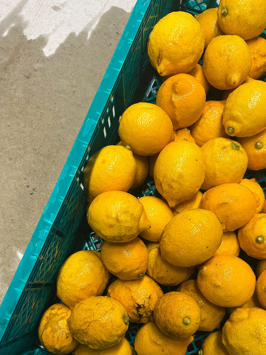 レモンサワー 味の設計