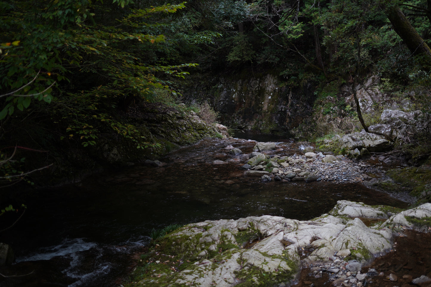 LEMON sour ”UMAMI” / 6缶