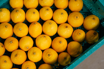 LEMON sour ”UMAMI” / 6缶