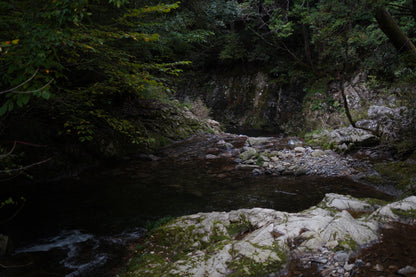 LEMON sour ”UMAMI” / 6缶