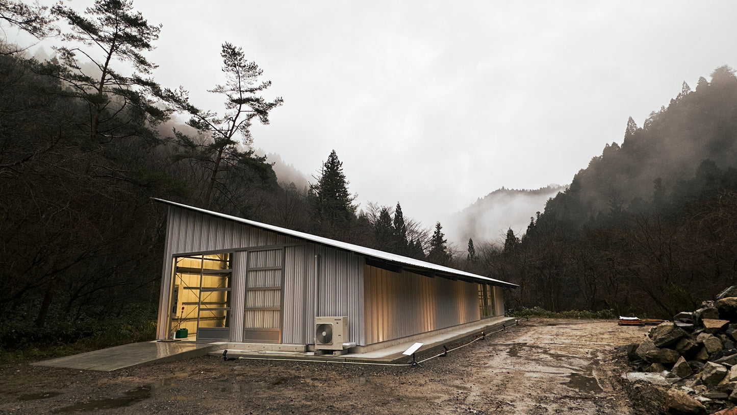 LEMON sour ”UMAMI” / 6缶