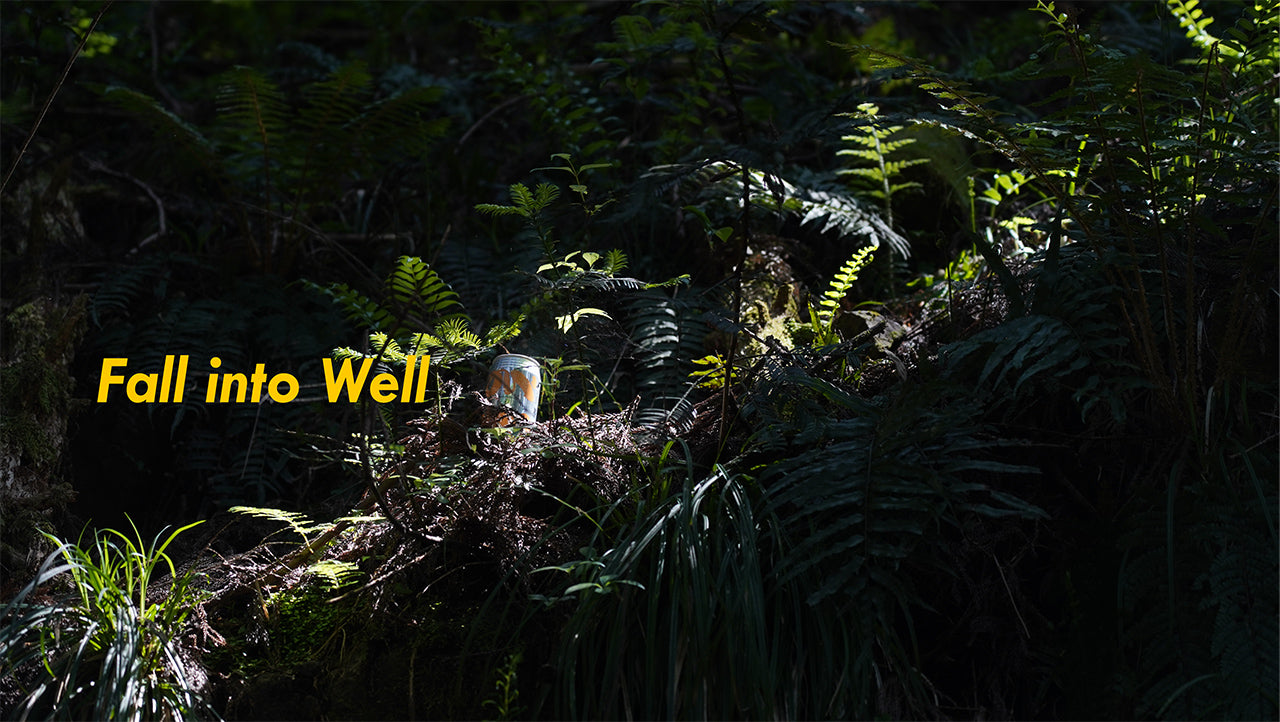 Fall into Well